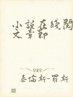 小说在线阅读全文章节