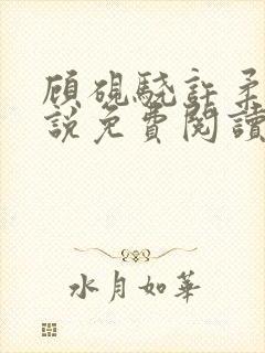 顾砚骁许柔汐小说免费阅读最新章节封面