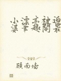 小漂亮被迫当老婆笔趣阁最新章节封面