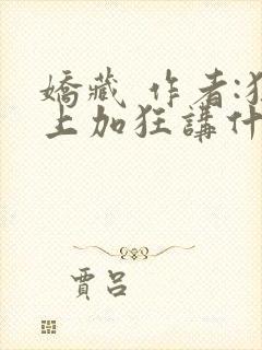 娇藏 作者:狂上加狂讲什么封面