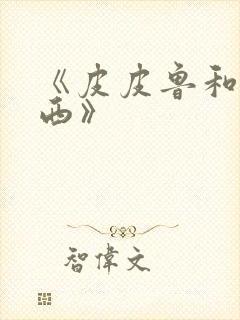 《皮皮鲁和鲁西西》