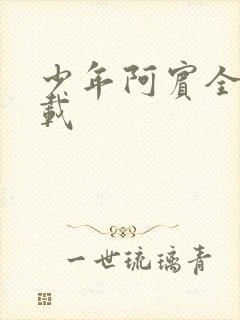 少年阿宾全集下载