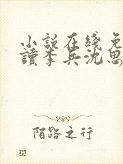 小说在线免费阅读李兵沈思