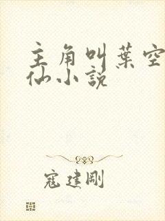 主角叫叶空的修仙小说