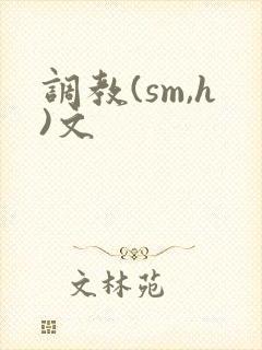 调教(sm,h)文封面