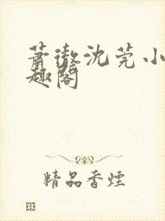 萧彻沈莞小说笔趣阁