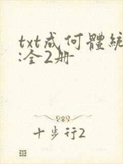 txt成何体统:全2册
