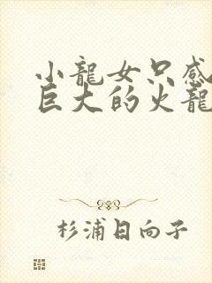 小龙女只感觉那巨大的火龙枪