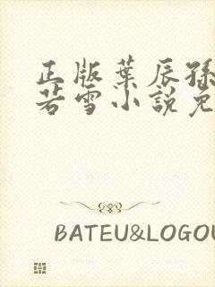 正版叶辰孙怡夏若雪小说免费阅读