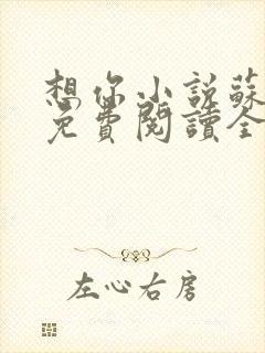 想你小说苏玛丽免费阅读全文无弹窗封面