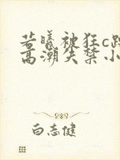 若曦被狂c躁到高潮失禁小说