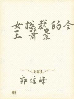 女总裁的全能兵王 萧晨