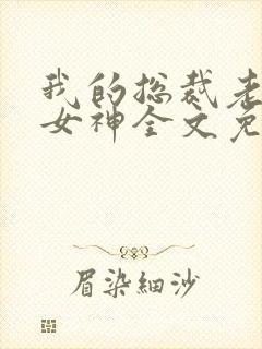 我的总裁老婆是女神全文免费阅读