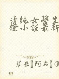 清纯女学生朱晓橙小说最新章节阅读