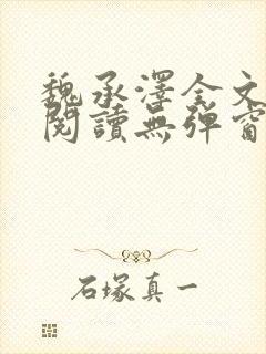 魏承泽全文免费阅读无弹窗笔趣