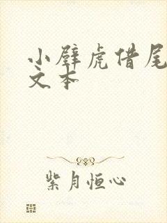 小壁虎借尾巴 文本封面