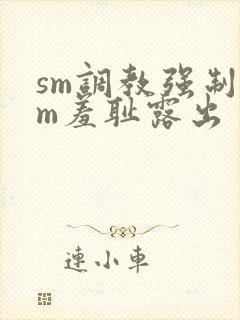 sm调教强制女m羞耻露出