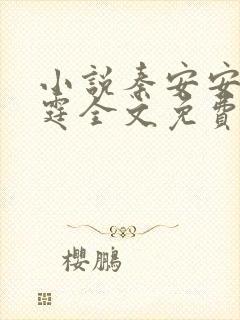 小说秦安安傅时霆全文免费阅读