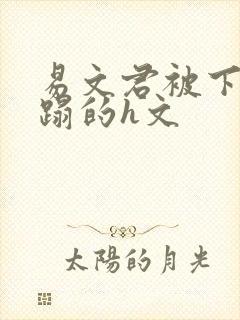 易文君被下药糟蹋的h文