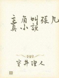 主角叫张凡的修真小说