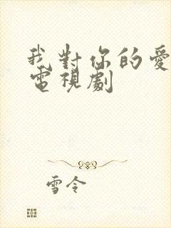我对你的爱很美电视剧