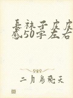 长袜子皮皮读后感50字左右