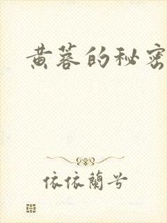 黄蓉的秘密