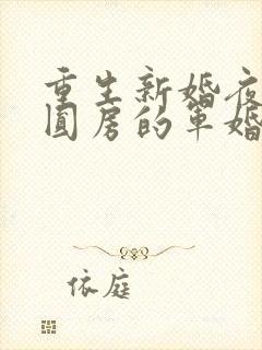 重生新婚夜正在圆房的军婚