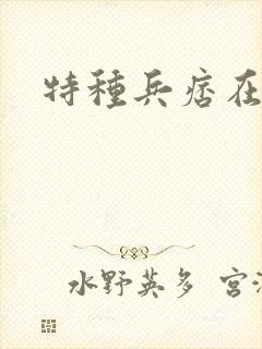 特种兵痞在都市