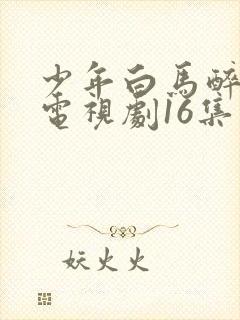 少年白马醉春风电视剧16集