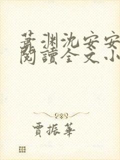 萧渊沈安安免费阅读全文小说封面