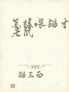 怎样喂猫才会抓老鼠