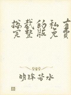 总裁的私有宝贝完整版免费阅读