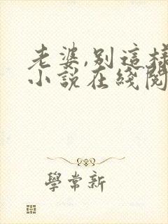 老婆,别这样 小说在线阅读