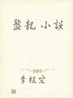 盘龙 小说封面