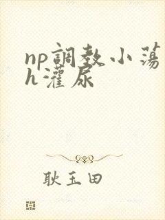 np调教小荡货h灌尿封面