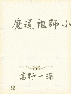 魔道祖师小说