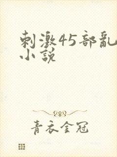 刺激45部乱亲小说封面