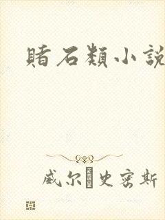 赌石类小说
