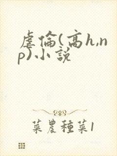 虐伦(高h,np)小说