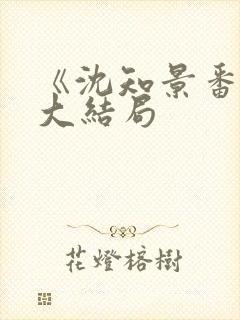 《沈知景番外》大结局