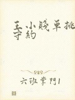 王小贱单挑百里守约封面