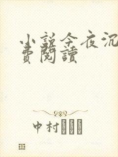 小说今夜沉醉免费阅读封面