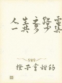 人生之路电视剧一共多少集封面