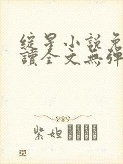 绽星小说免费阅读全文无弹窗封面