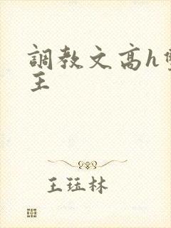 调教文高h双男主封面