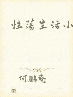 性荡生活小说封面