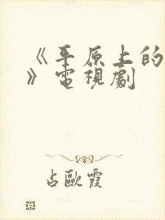 《平原上的摩西》电视剧