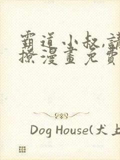 霸道小叔,请轻撩漫画免费完整版