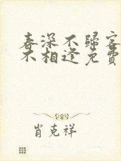 春深不归客清梦不相逢免费阅读